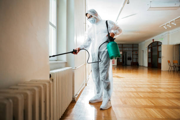 Professional Pest Control in Lake Ronkonkoma, NY